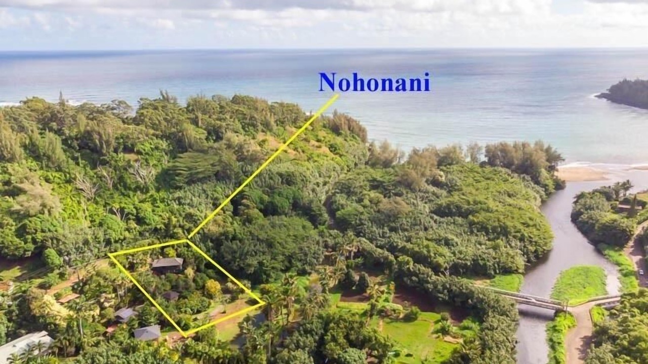 Photo of Outdoor in Wainiha