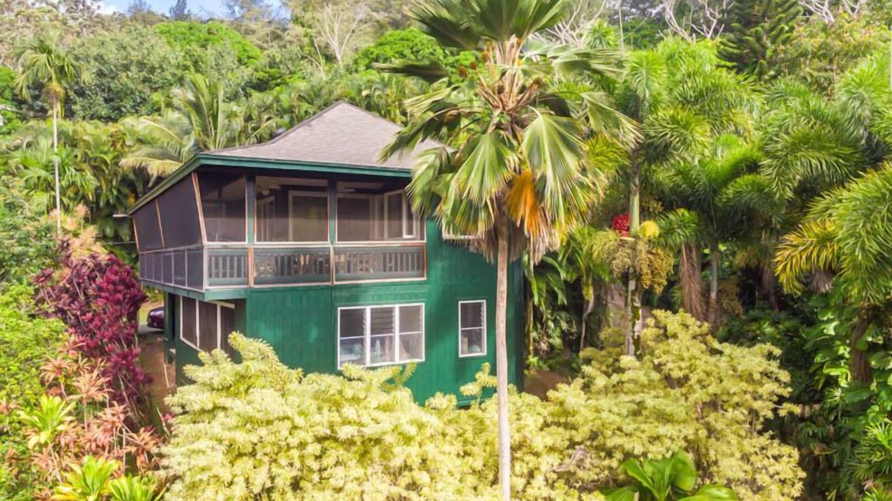 Photo of Outdoor in Wainiha