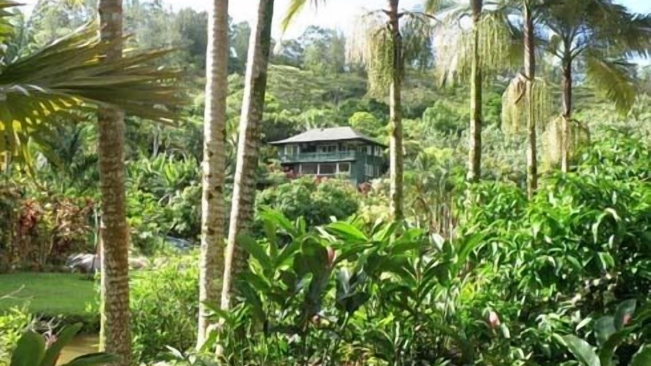 Photo of Others in Wainiha