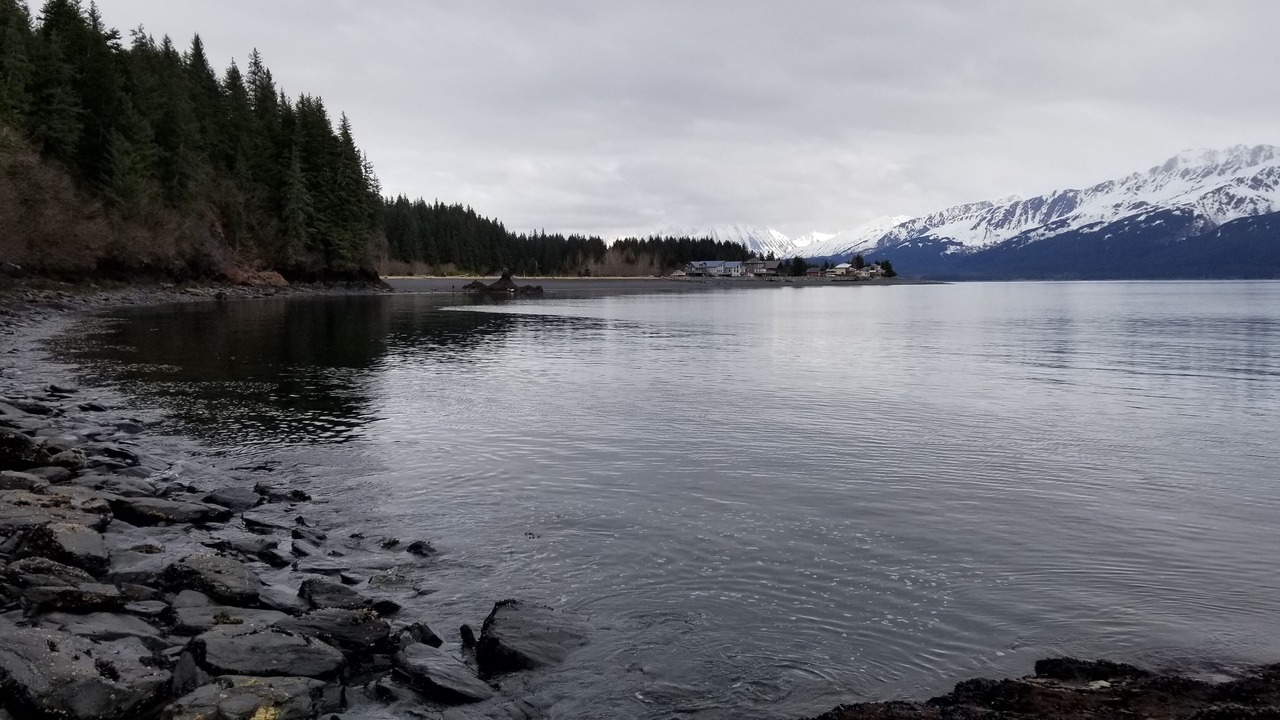 Photo of Others in Seward