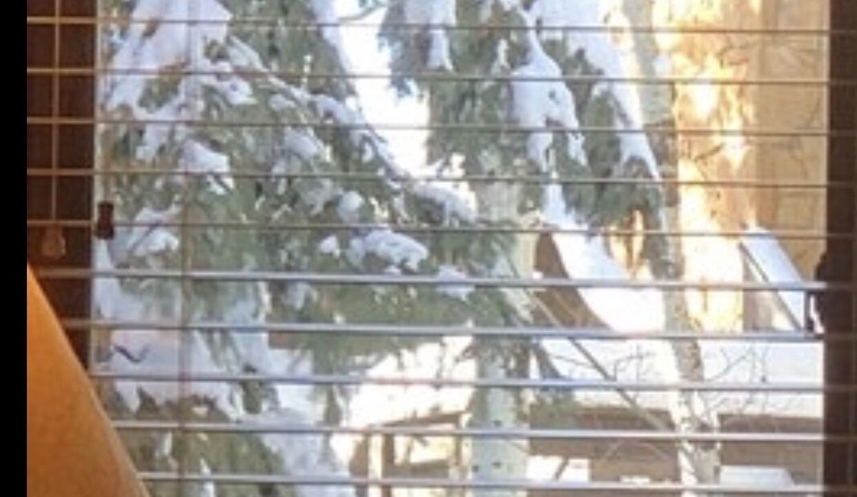 Photo of Others in Deer Valley