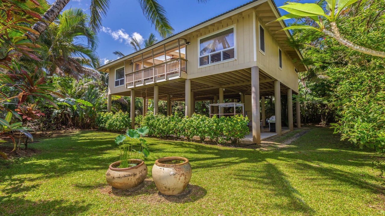 Photo of Others in Wainiha