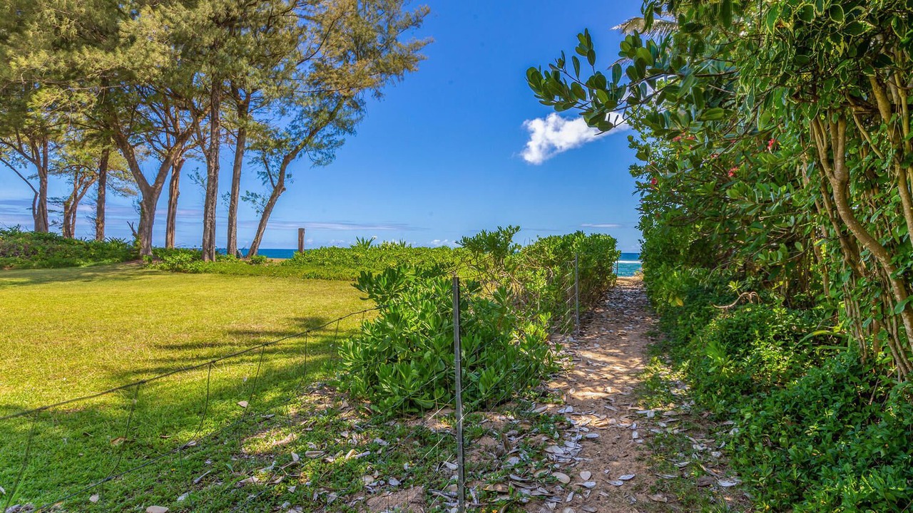 Photo of Others in Wainiha