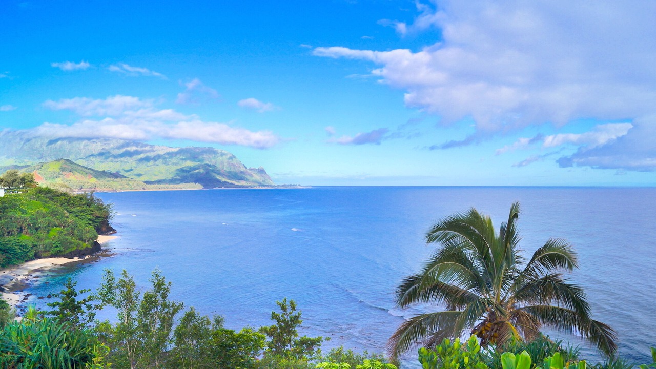 Photo of Others in Princeville