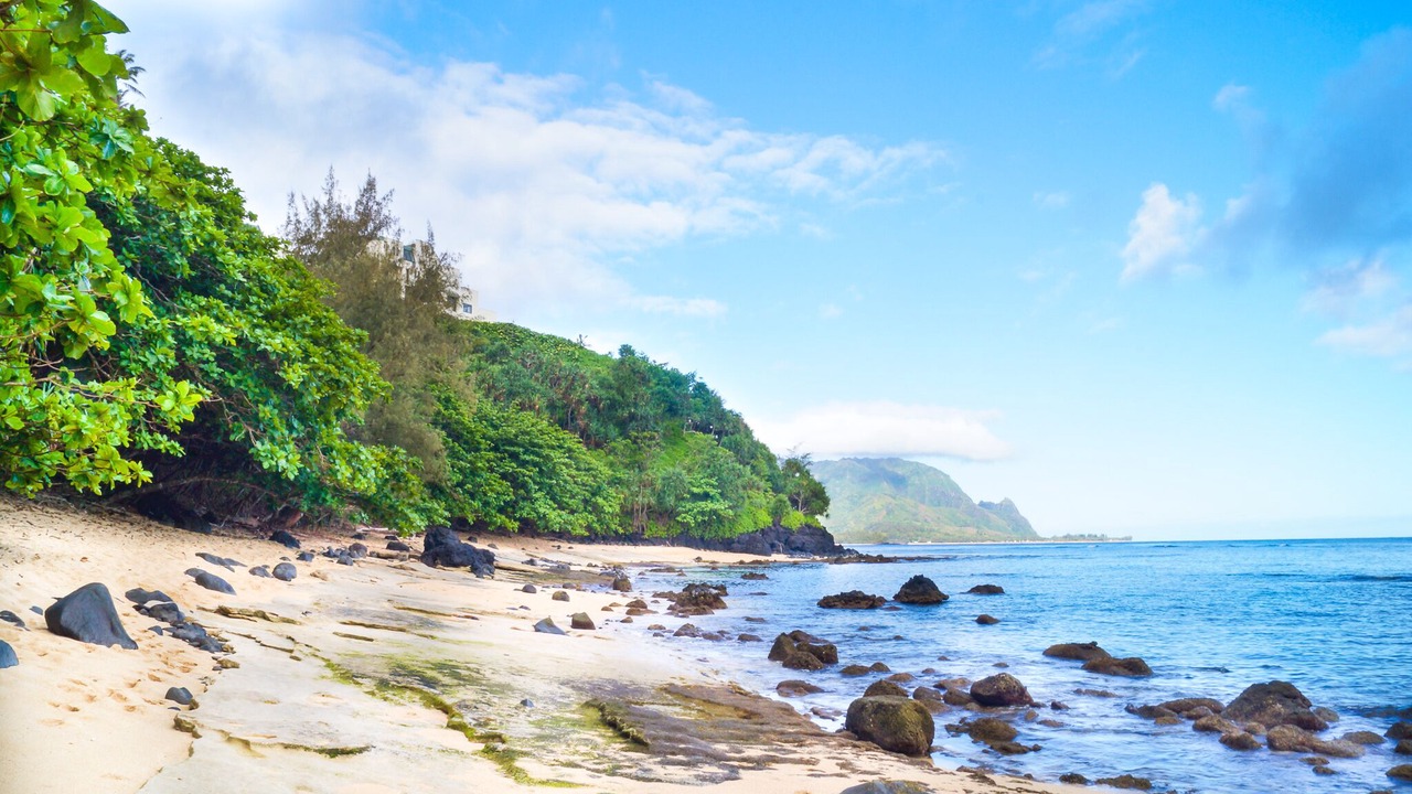 Photo of Others in Princeville