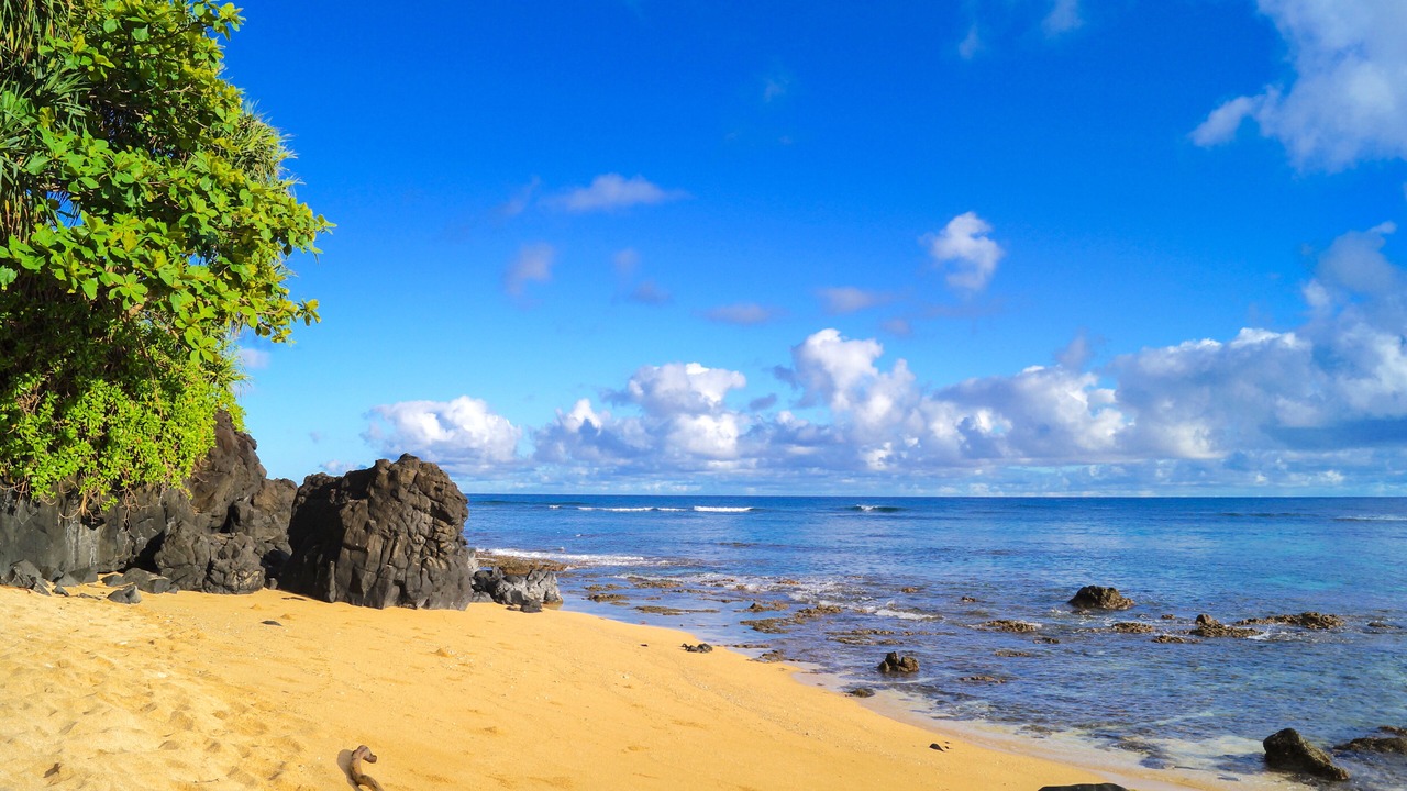 Photo of Others in Princeville