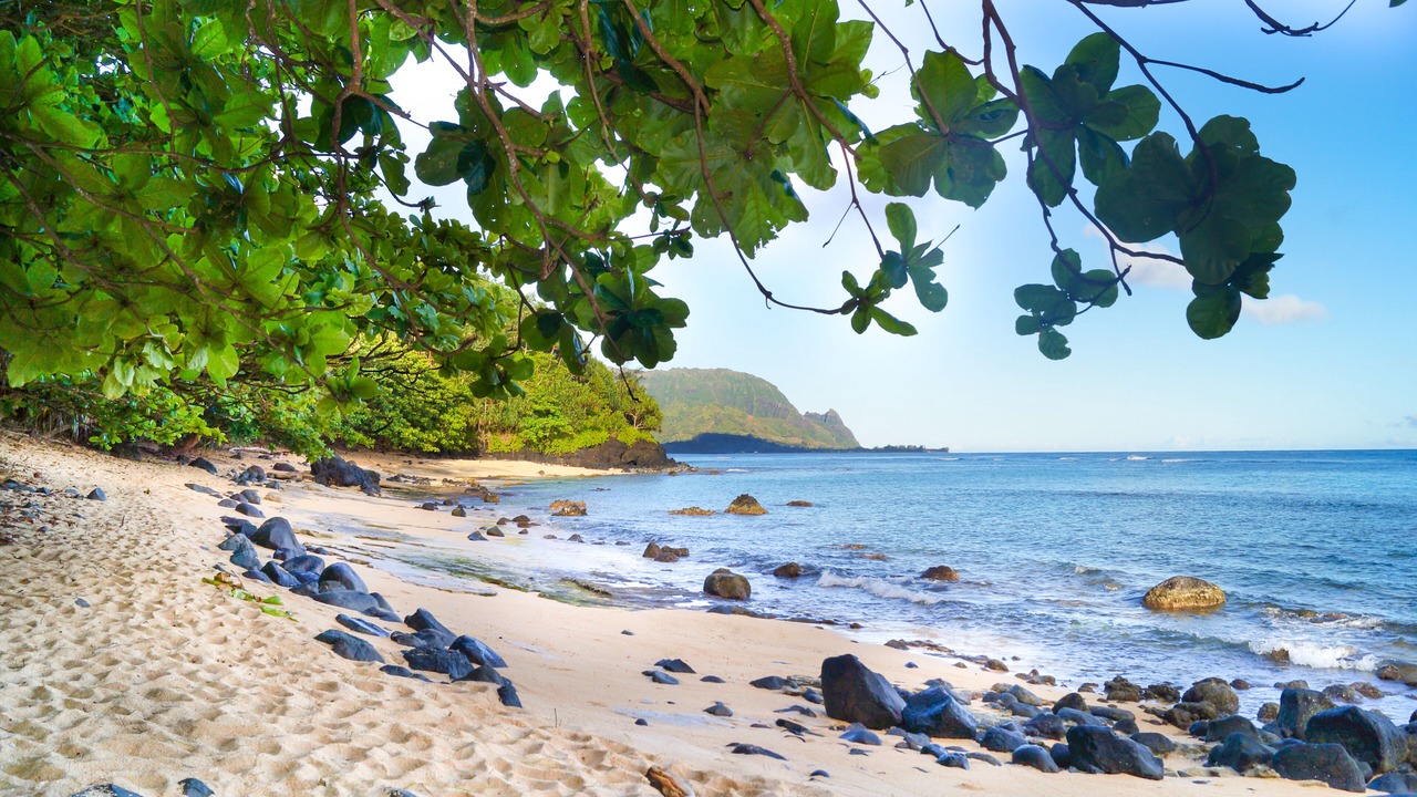 Photo of Others in Princeville
