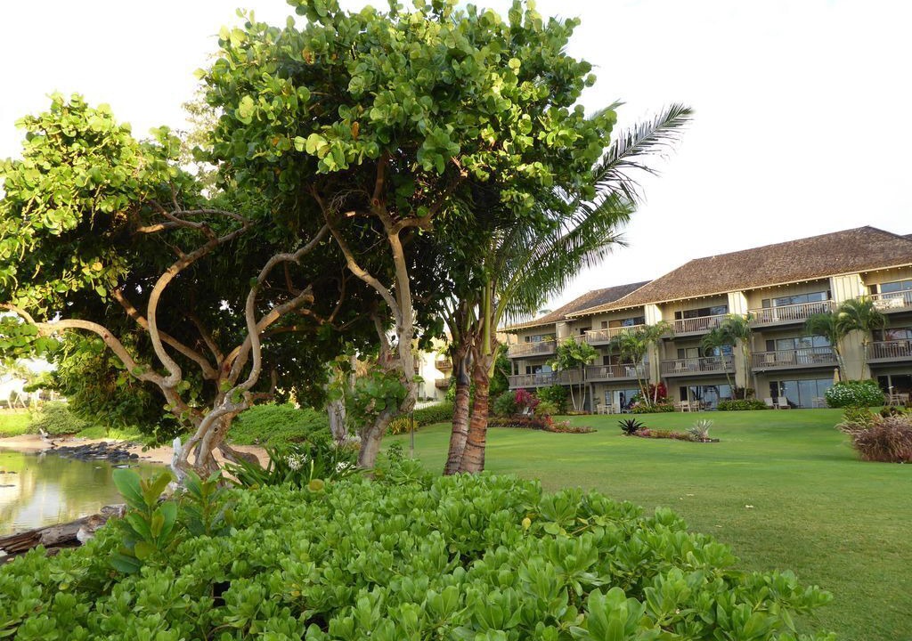 Photo of Others in Wailua
