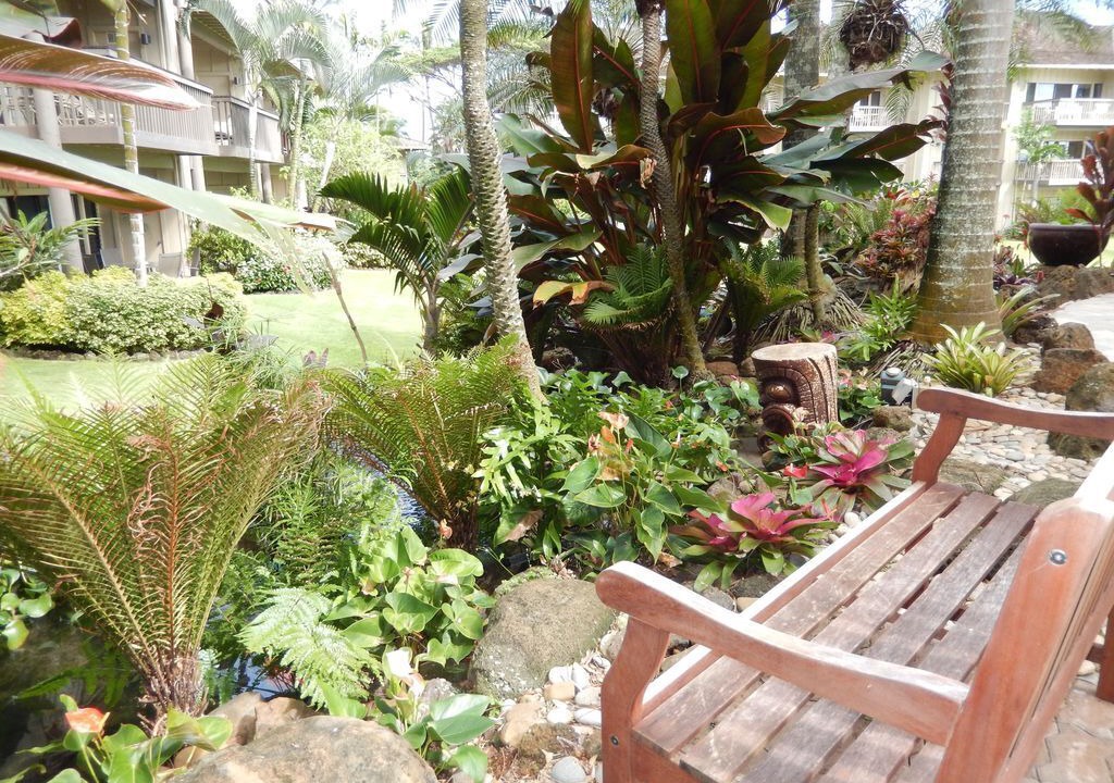 Photo of Others in Wailua