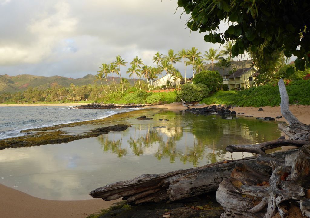 Photo of Outdoor in Wailua