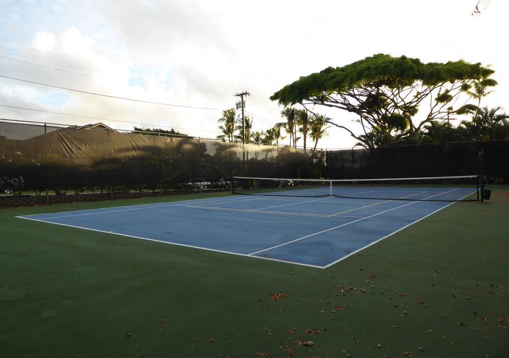 Photo of Others in Wailua
