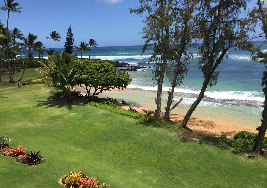 Photo of Others in Wailua