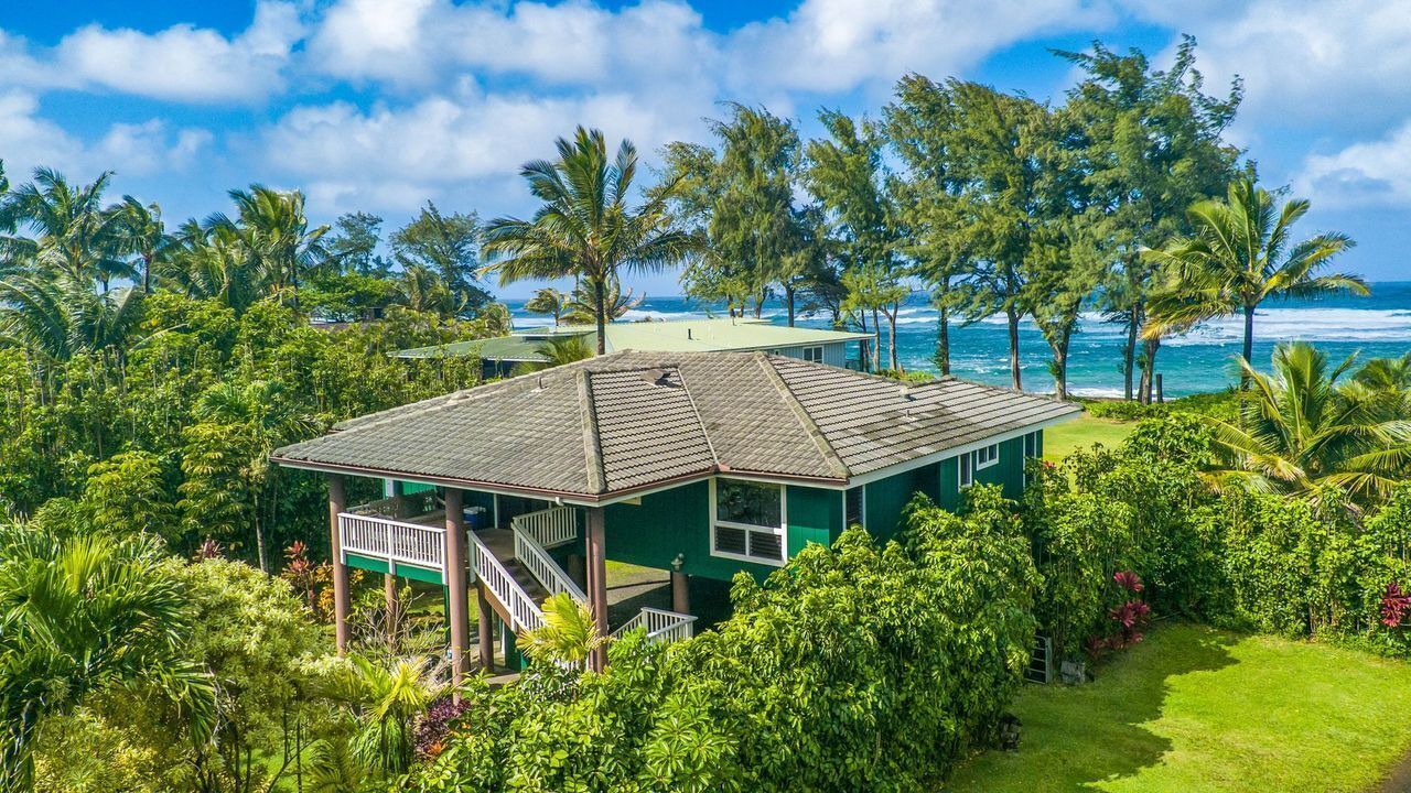 Photo of Outdoor in Wainiha