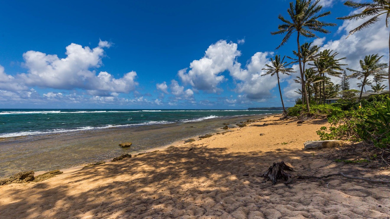 Photo of Others in Wainiha