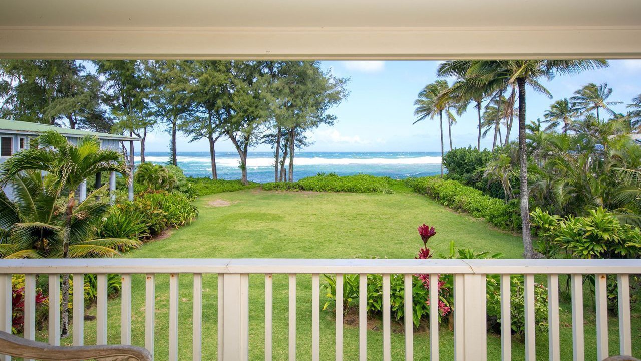 Photo of Outdoor in Wainiha