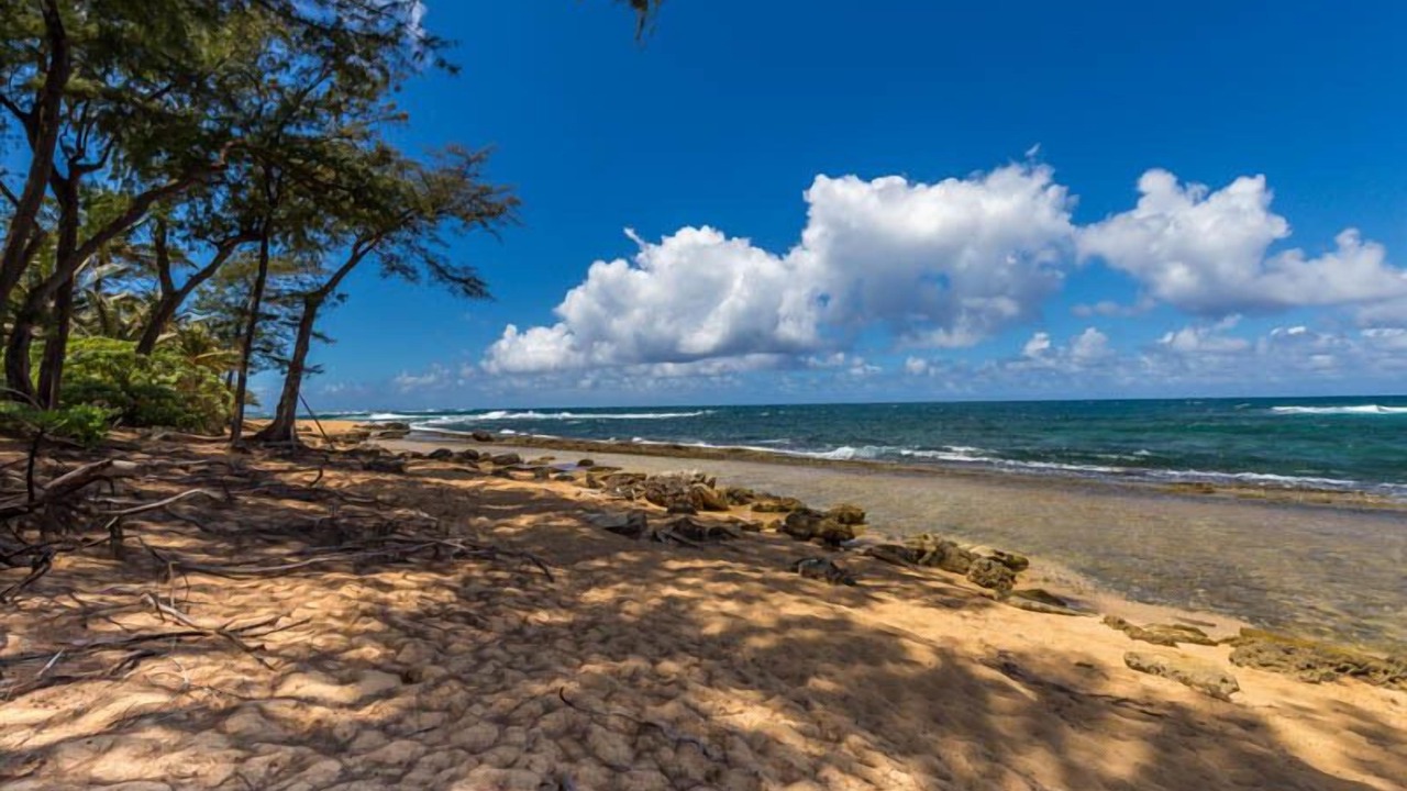 Photo of Others in Wainiha