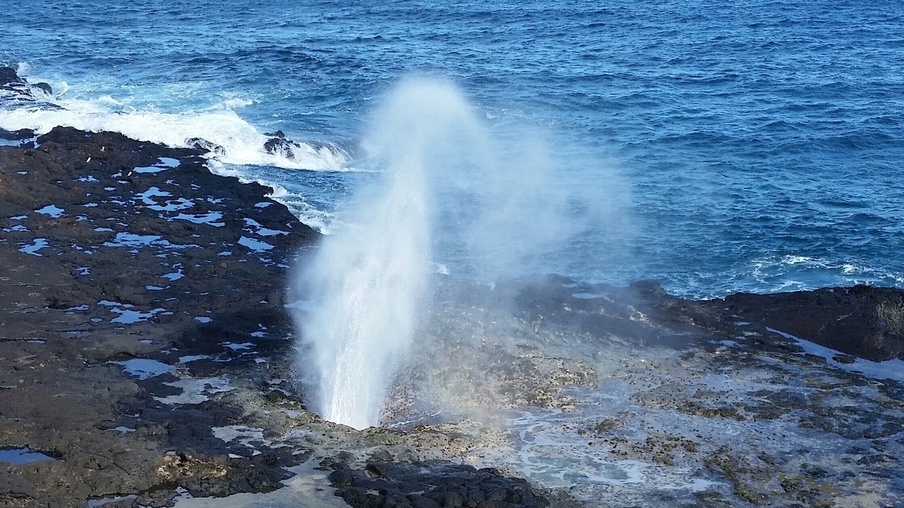 Photo of Others in Lawai
