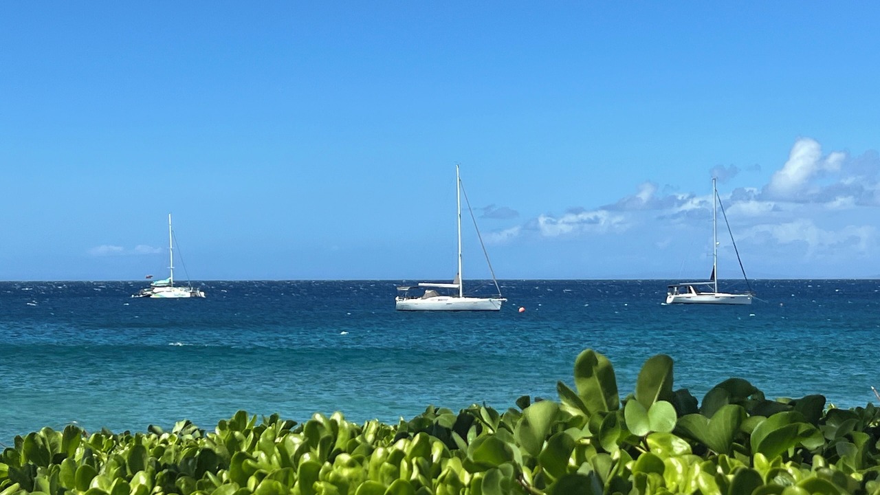 Photo of Others in Kaanapali