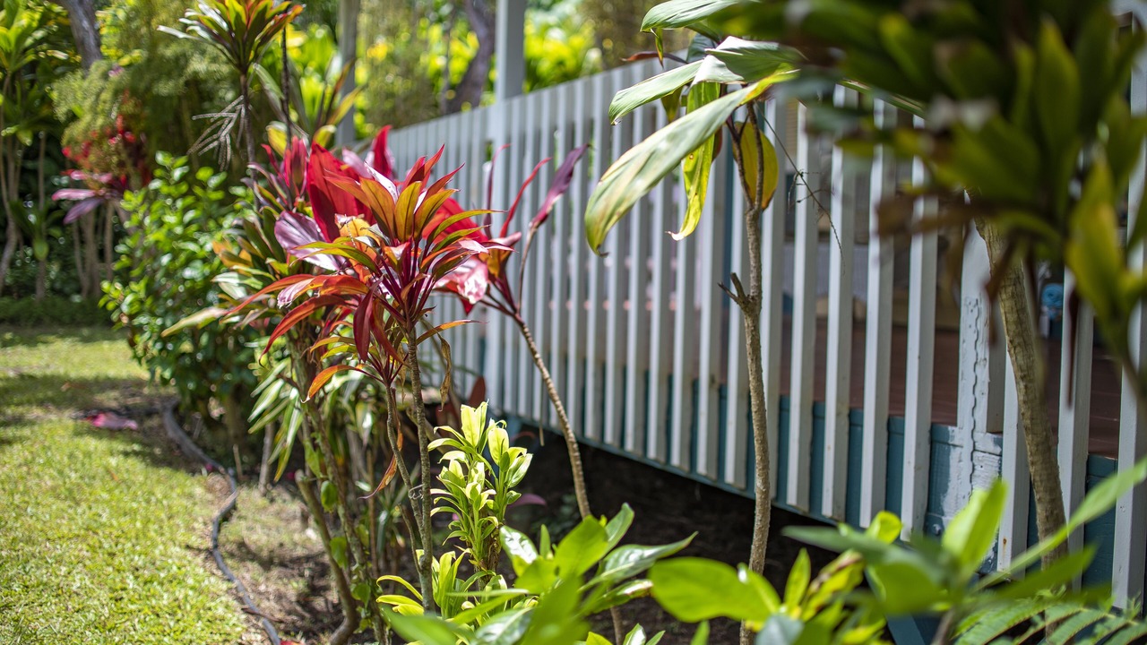 Photo of Others in Wailua Homesteads