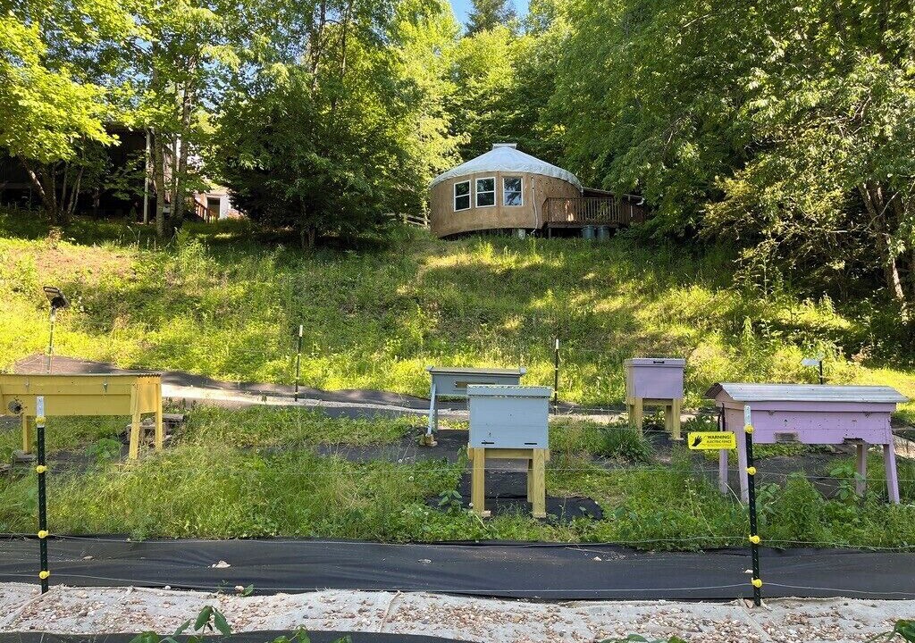 Photo of Outdoor in Old Fort