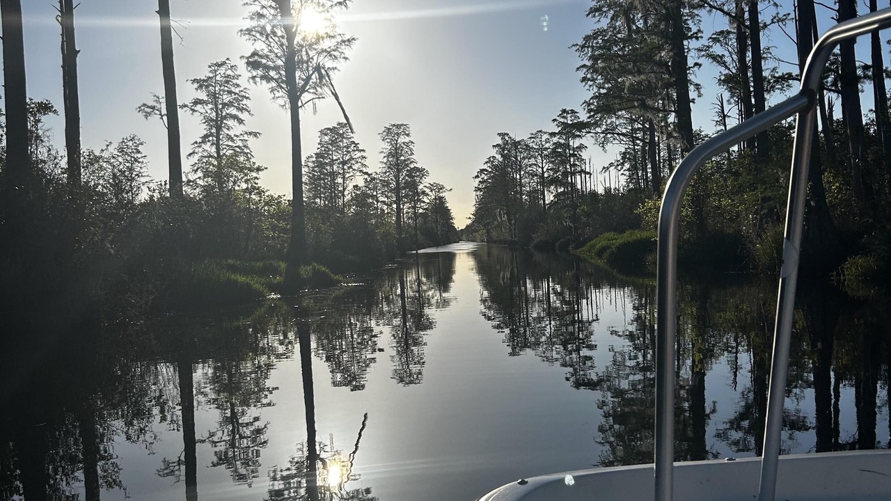 Photo of Outdoor in Folkston