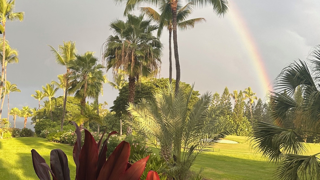 Photo of Outdoor in Kahaluu-Keauhou