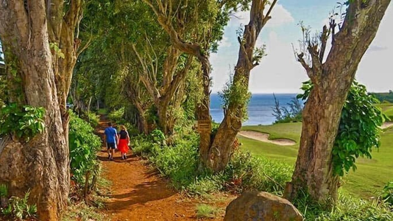 Photo of Others in Kaiulani