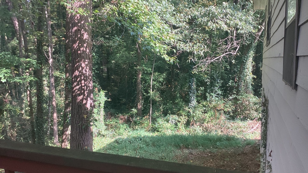 Photo of Outdoor in Jonesboro