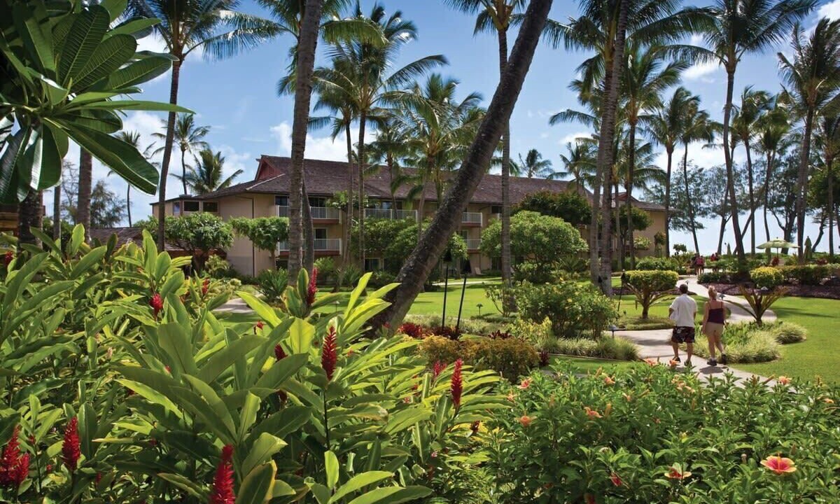Photo of Outdoor in Wailua