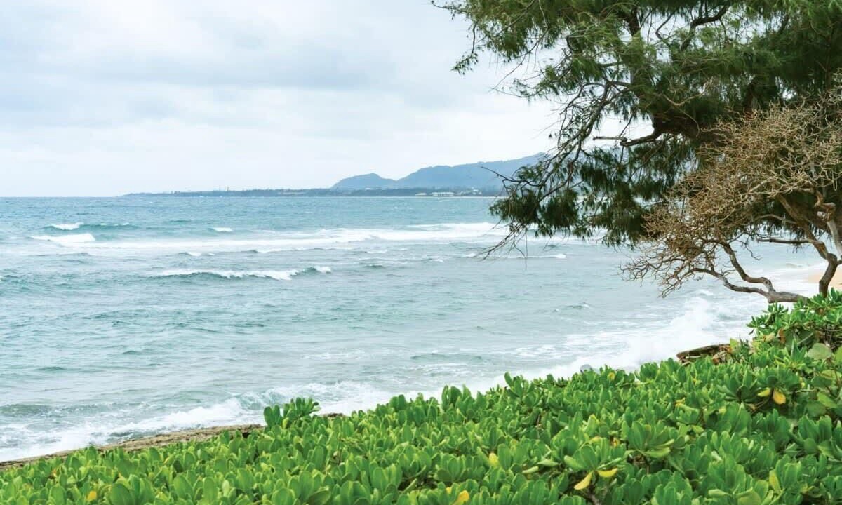 Photo of Others in Wailua