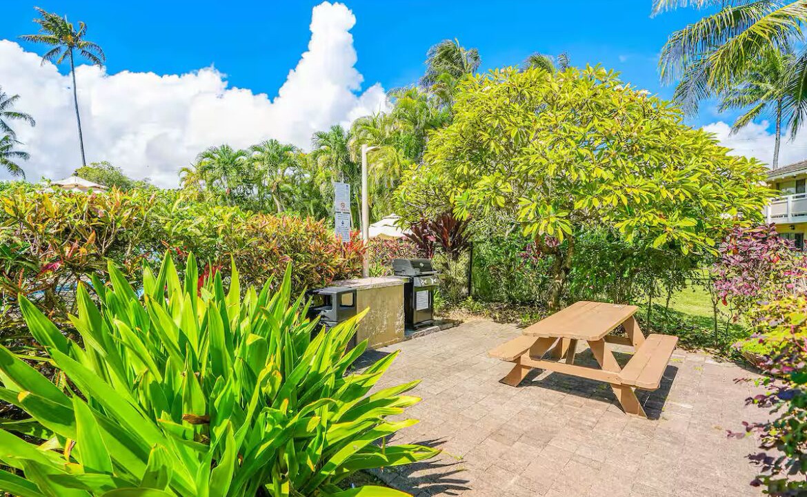 Photo of Outdoor in Wailua