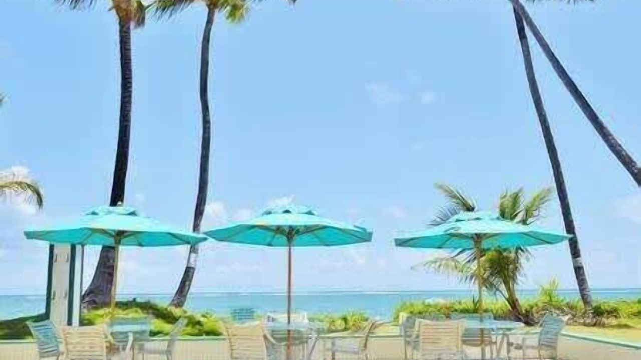 Photo of Outdoor in Punaluu