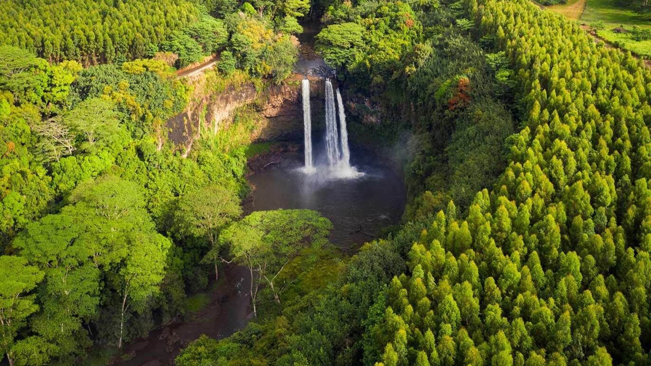 Photo of Outdoor in Anahola