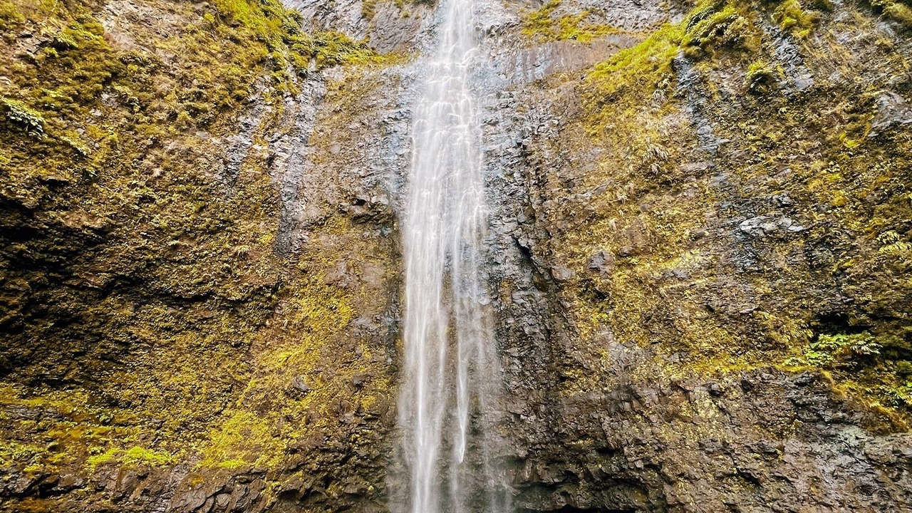 Photo of Others in Anahola