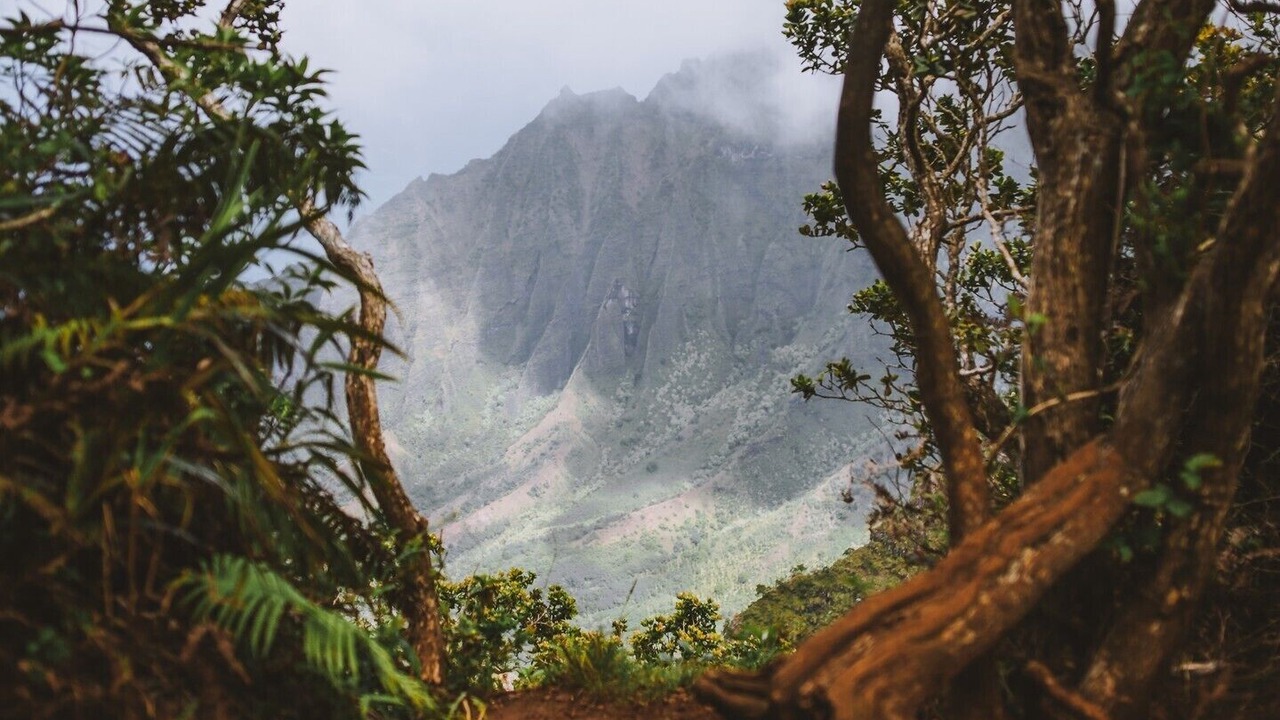 Photo of Others in Anahola