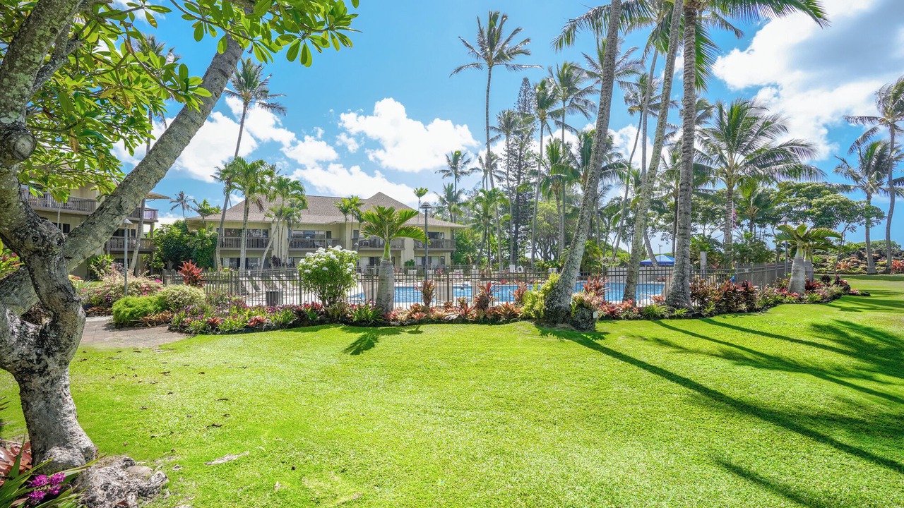 Photo of Outdoor in Wailua