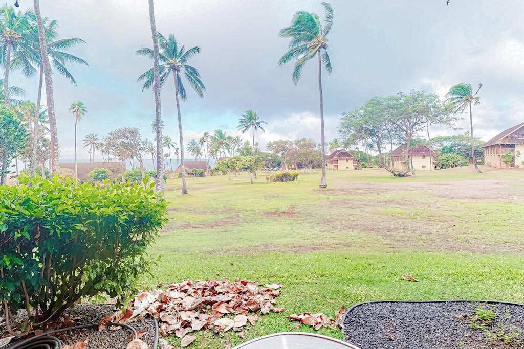 Photo of Outdoor in Maunaloa