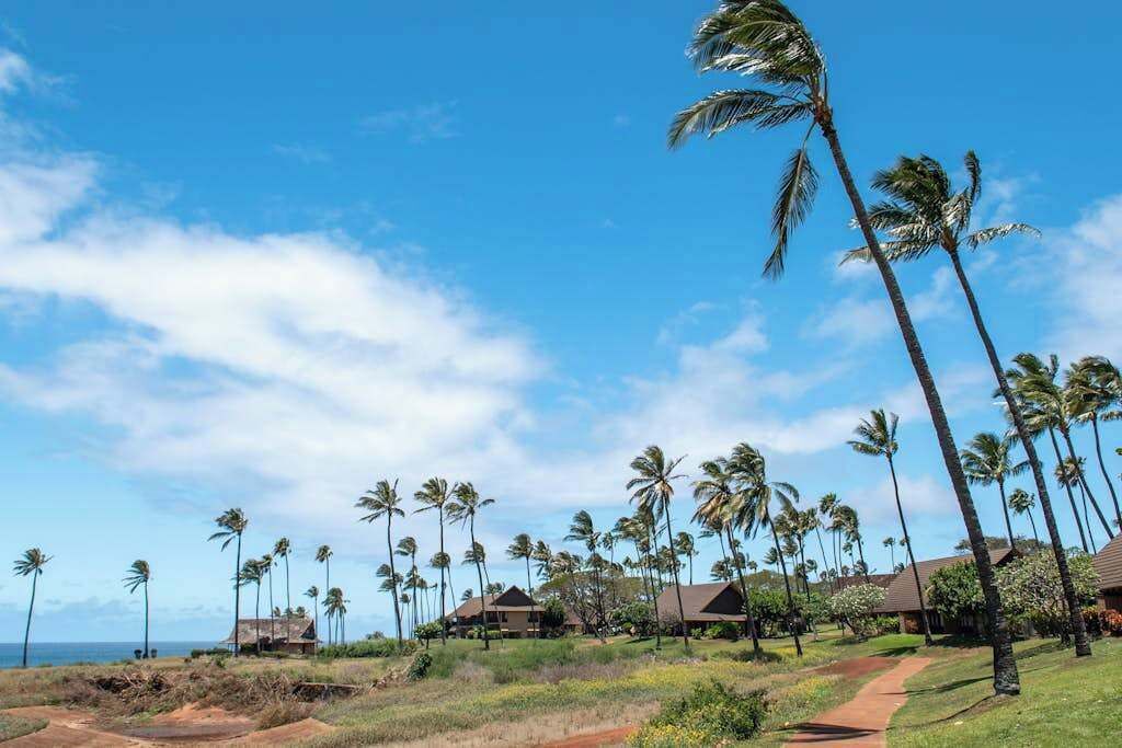 Photo of Others in Maunaloa