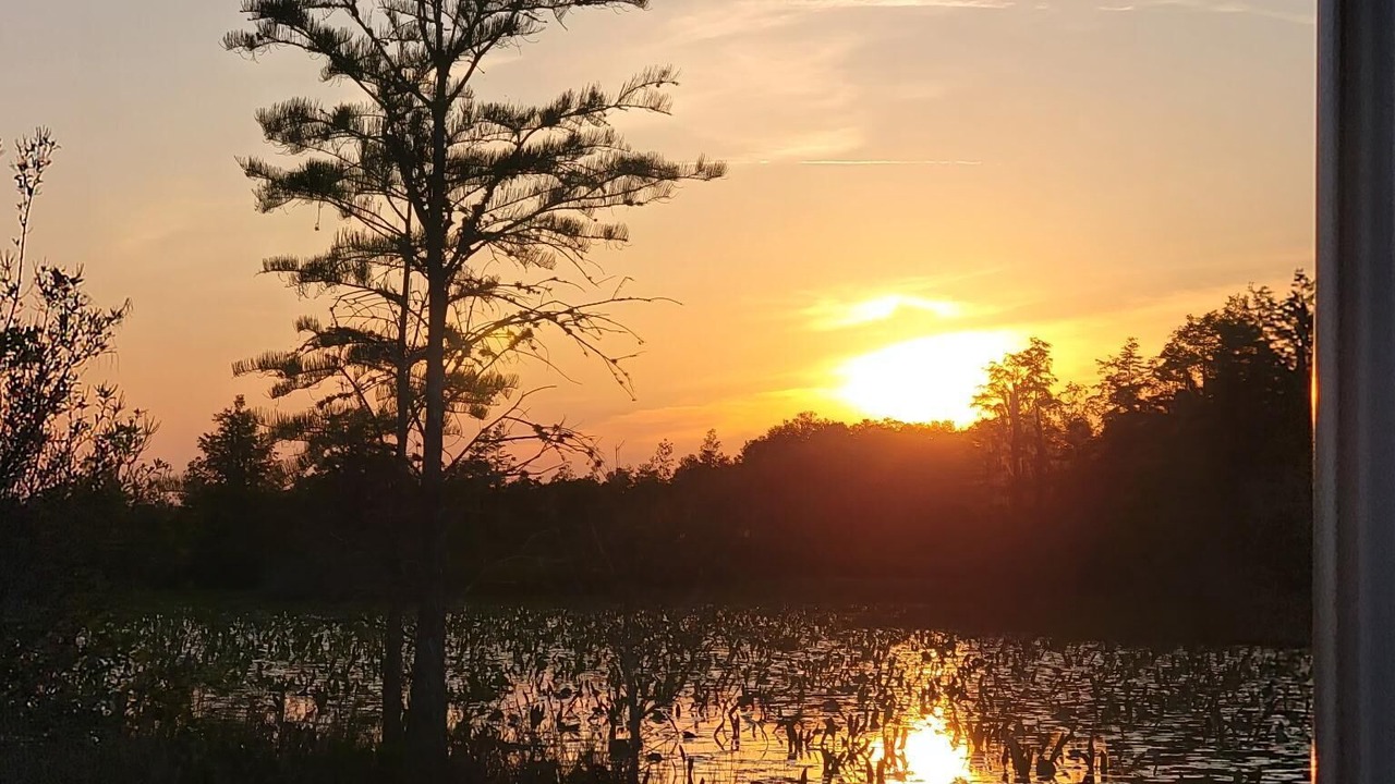 Photo of Outdoor in Folkston