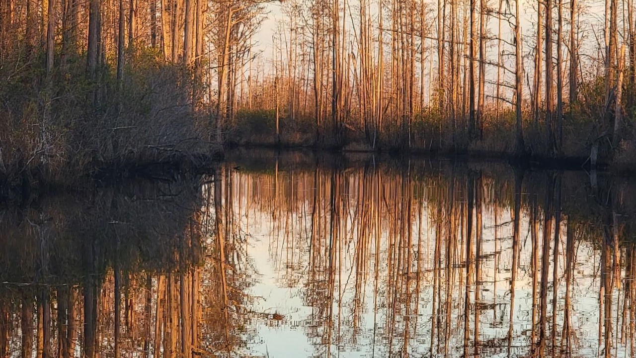 Photo of Outdoor in Folkston