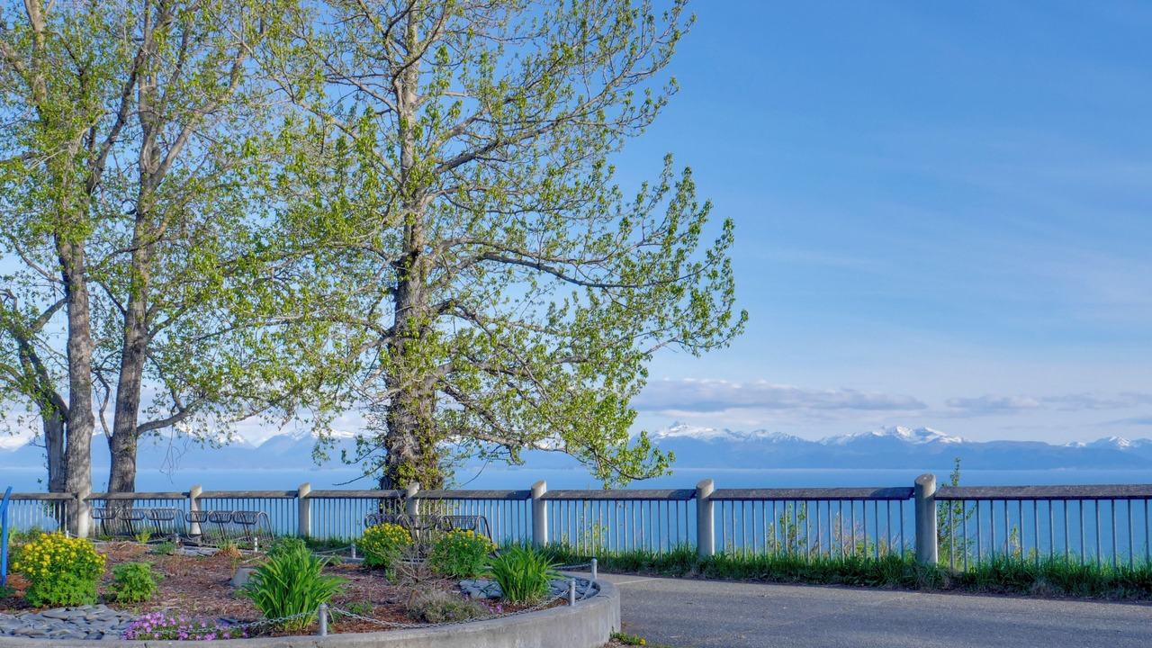 Photo of Others in Homer