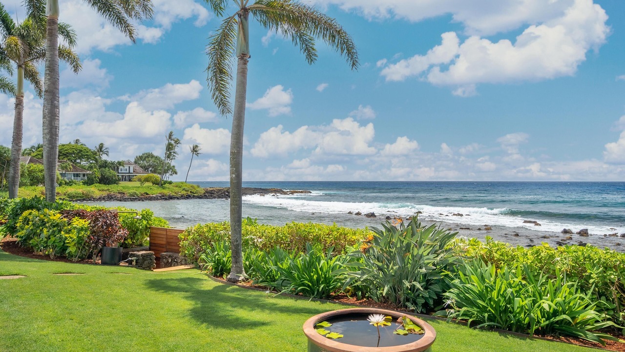 Photo of Outdoor in Poipu