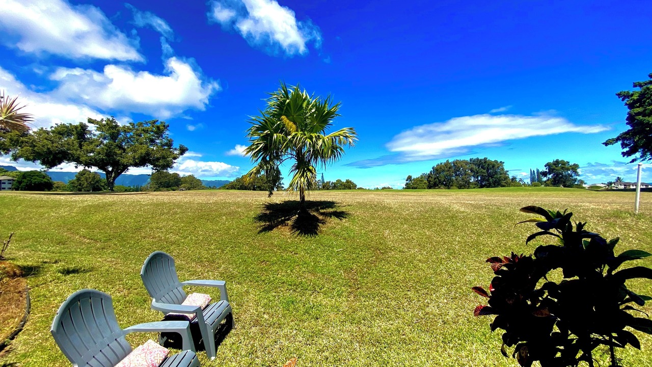 Photo of Outdoor in Kaiulani