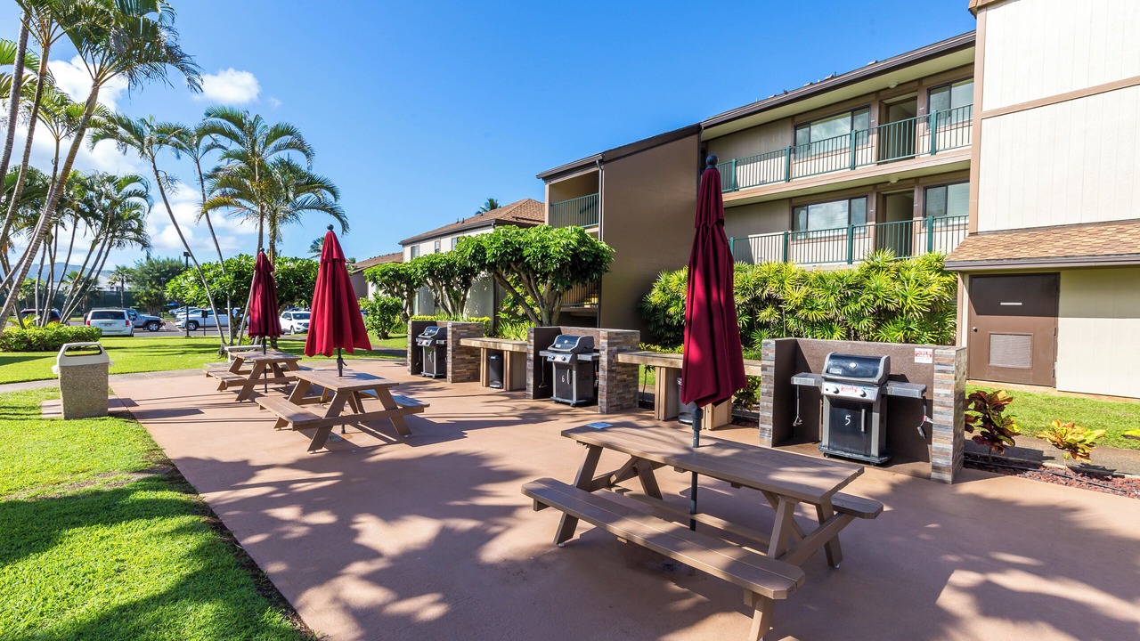 Photo of Outdoor in Kapaa