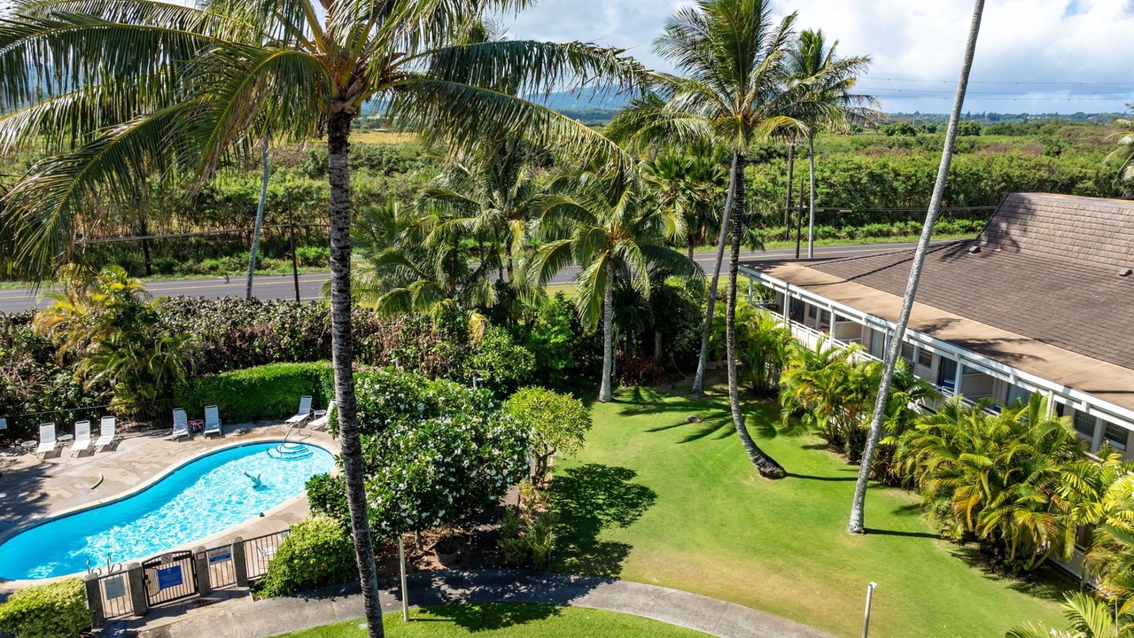 Photo of Outdoor in Wailua