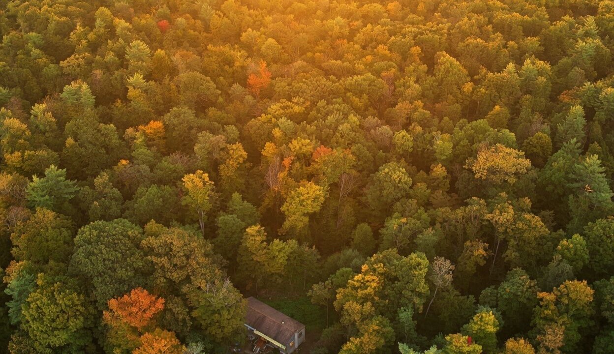 Photo of Outdoor in Greenfield Center