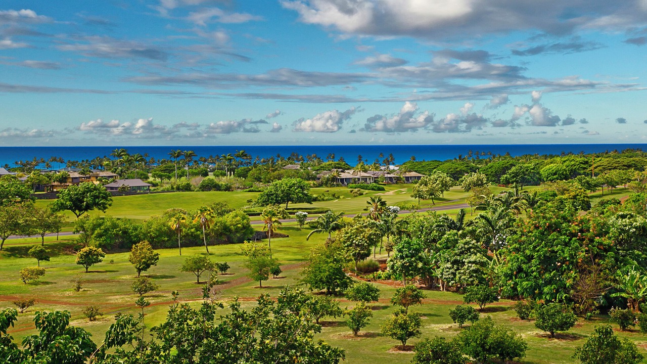 Photo of Others in Koloa