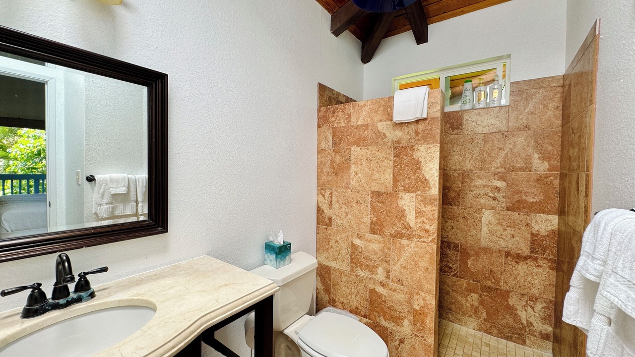 Photo of Bathroom in Wainiha