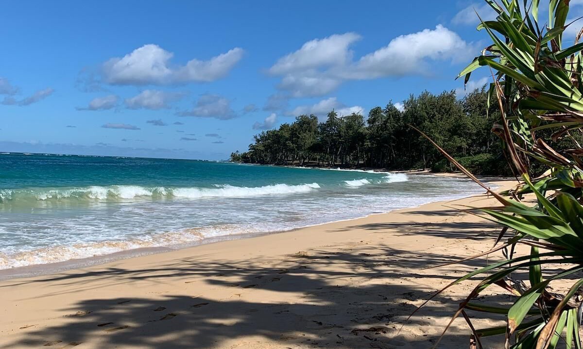 Photo of Others in Laie