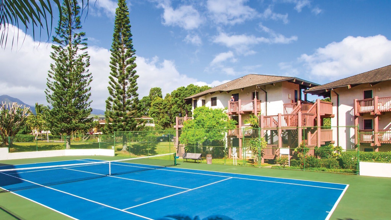 Photo of Others in Princeville